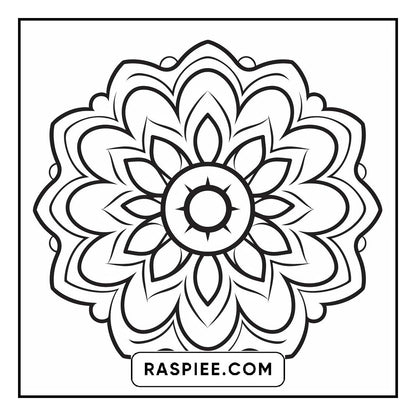 134 Bold and Easy Mandala Coloring Pages
