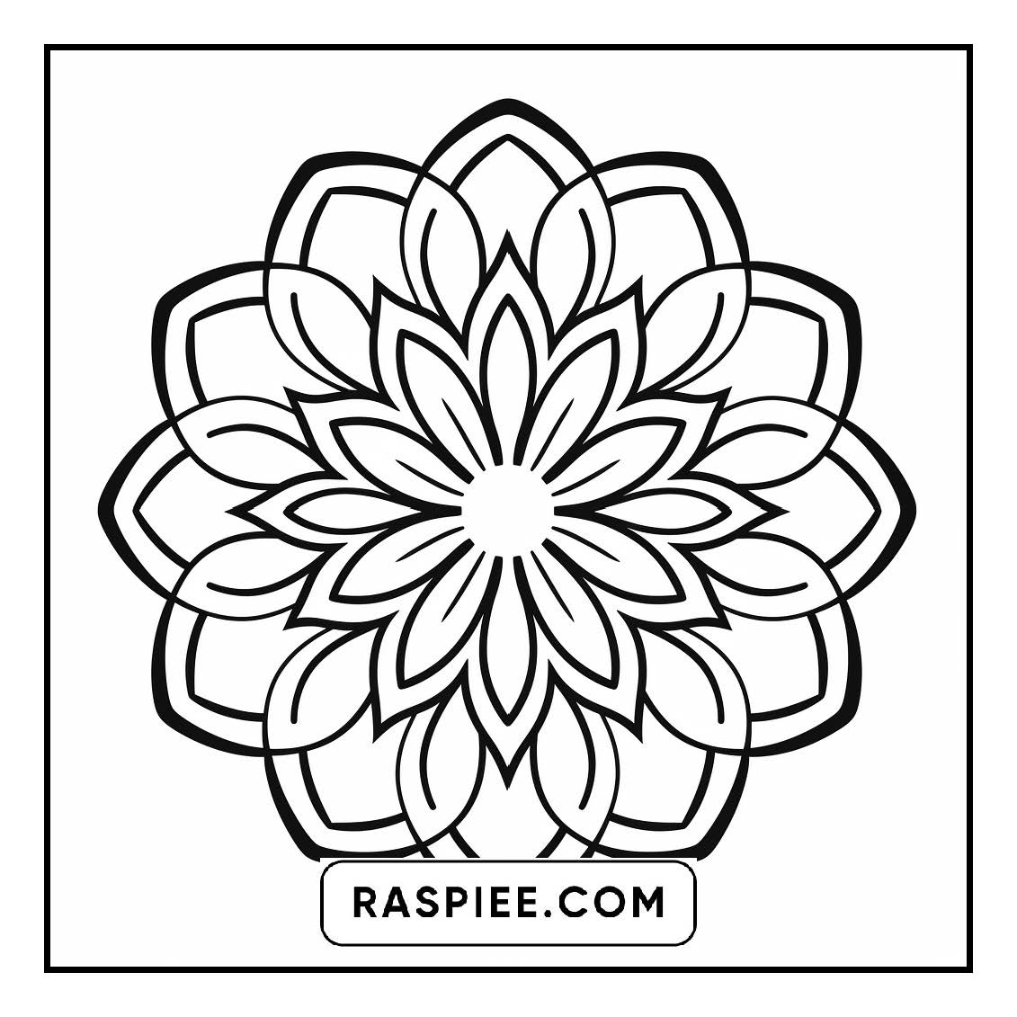 134 Bold and Easy Mandala Coloring Pages