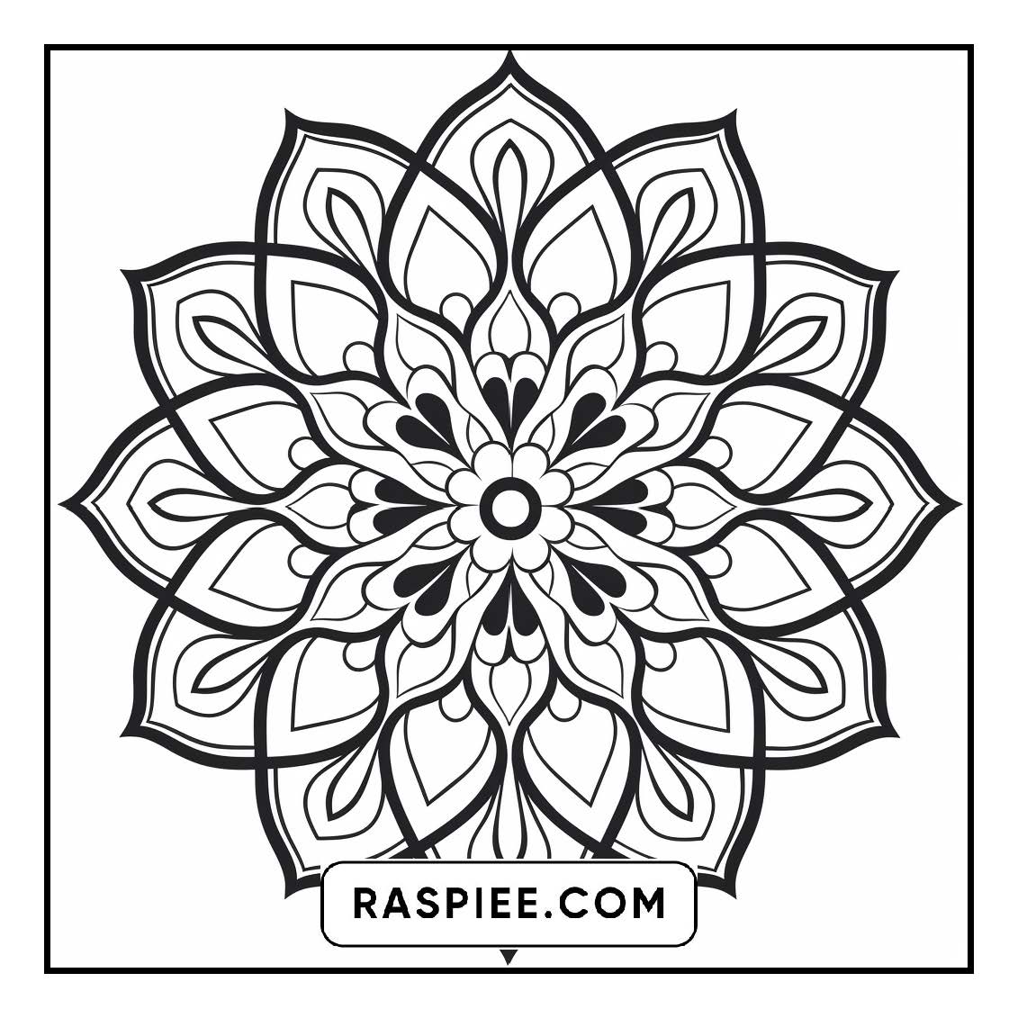 134 Bold and Easy Mandala Coloring Pages