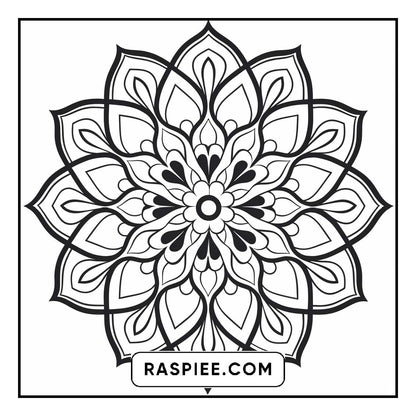 134 Bold and Easy Mandala Coloring Pages
