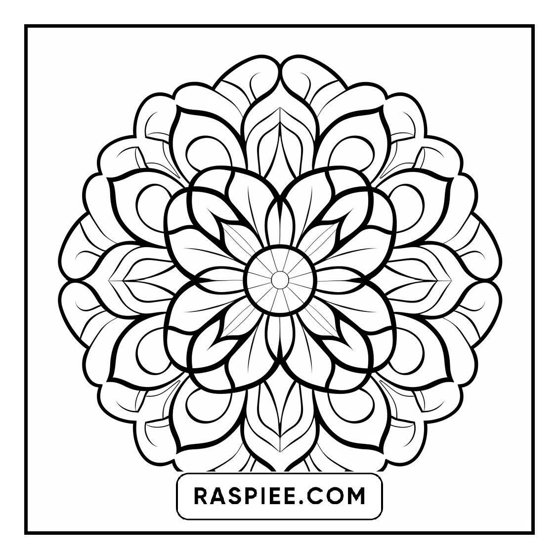 134 Bold and Easy Mandala Coloring Pages