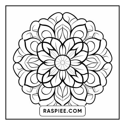 134 Bold and Easy Mandala Coloring Pages