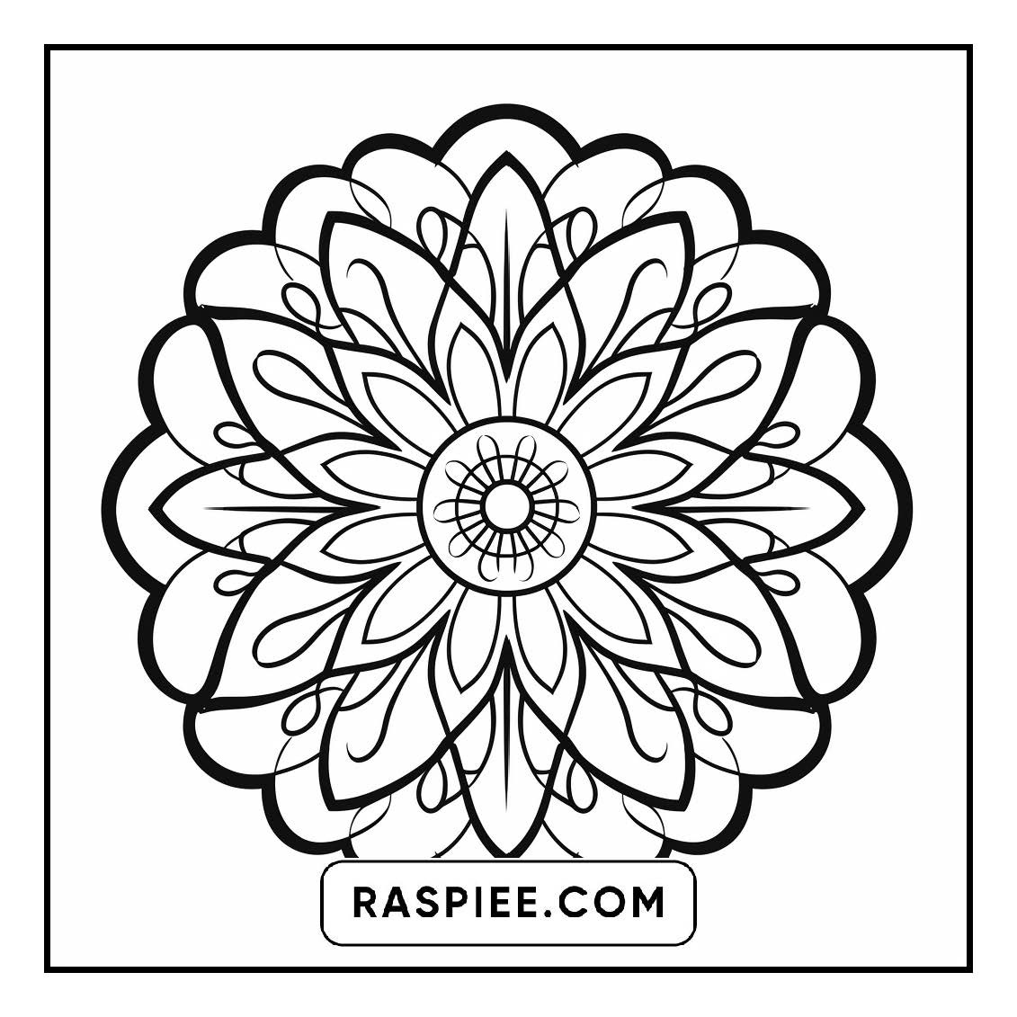 134 Bold and Easy Mandala Coloring Pages