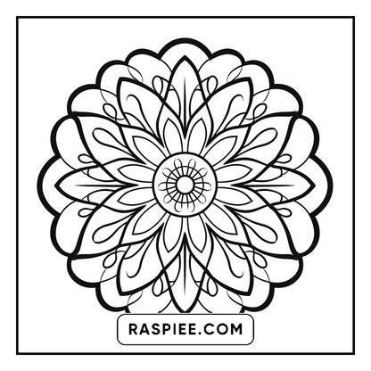 134 Bold and Easy Mandala Coloring Pages
