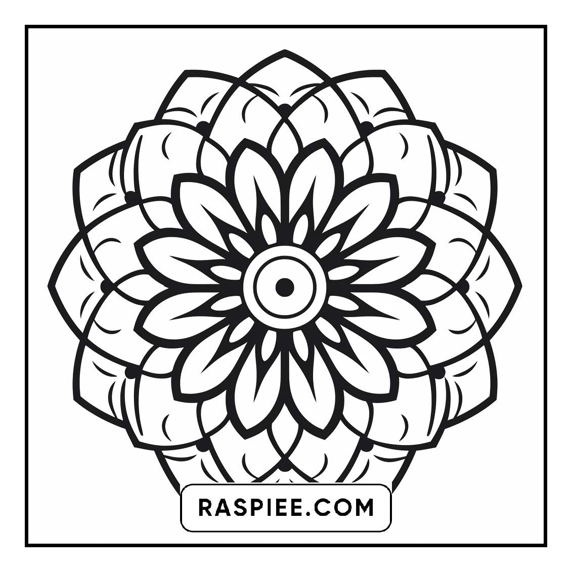134 Bold and Easy Mandala Coloring Pages