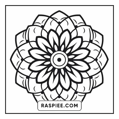 134 Bold and Easy Mandala Coloring Pages