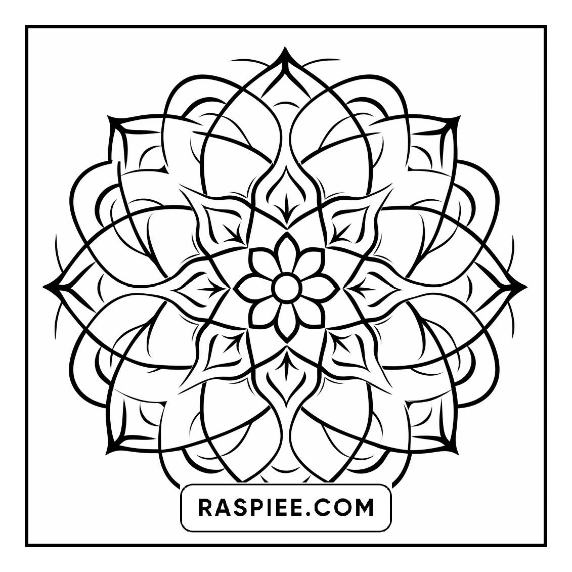 134 Bold and Easy Mandala Coloring Pages