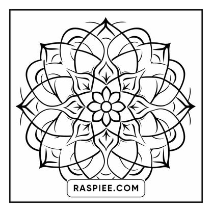 134 Bold and Easy Mandala Coloring Pages