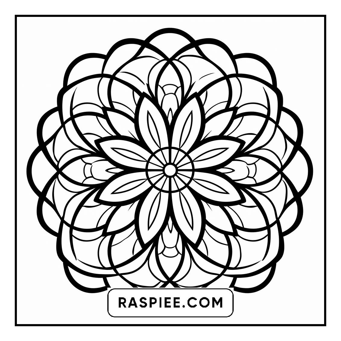 134 Bold and Easy Mandala Coloring Pages