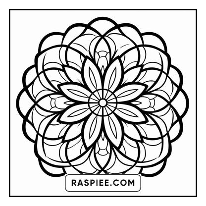 134 Bold and Easy Mandala Coloring Pages