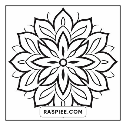 134 Bold and Easy Mandala Coloring Pages