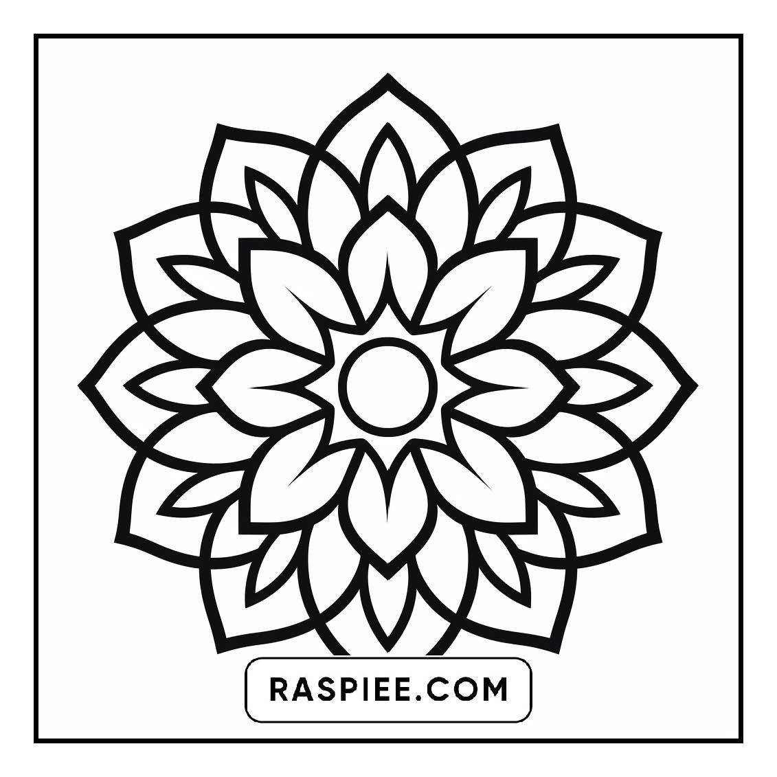 134 Bold and Easy Mandala Coloring Pages