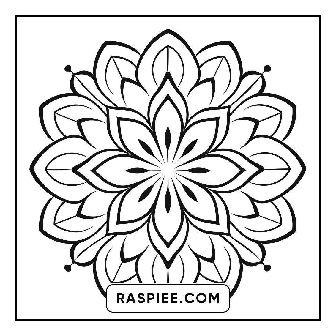 134 Bold and Easy Mandala Coloring Pages