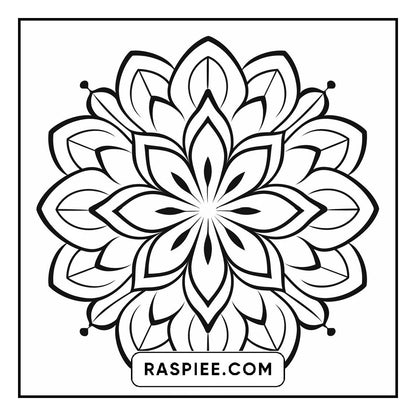 134 Bold and Easy Mandala Coloring Pages
