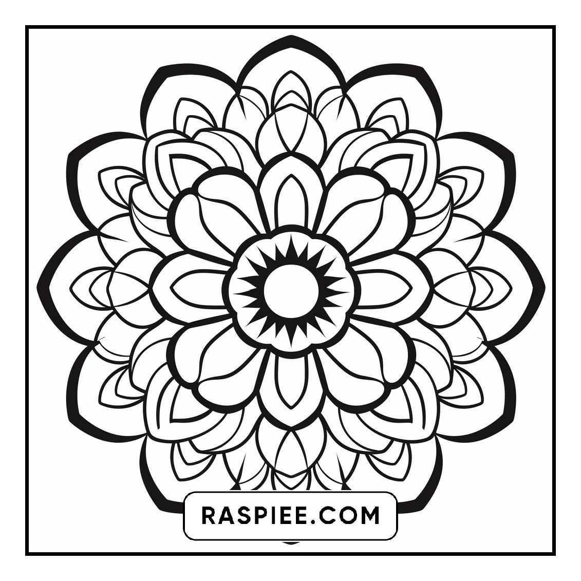 134 Bold and Easy Mandala Coloring Pages