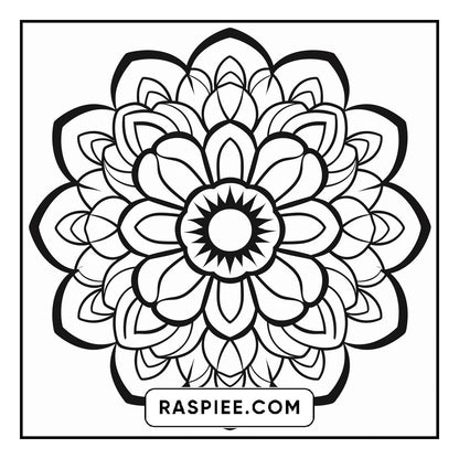 134 Bold and Easy Mandala Coloring Pages