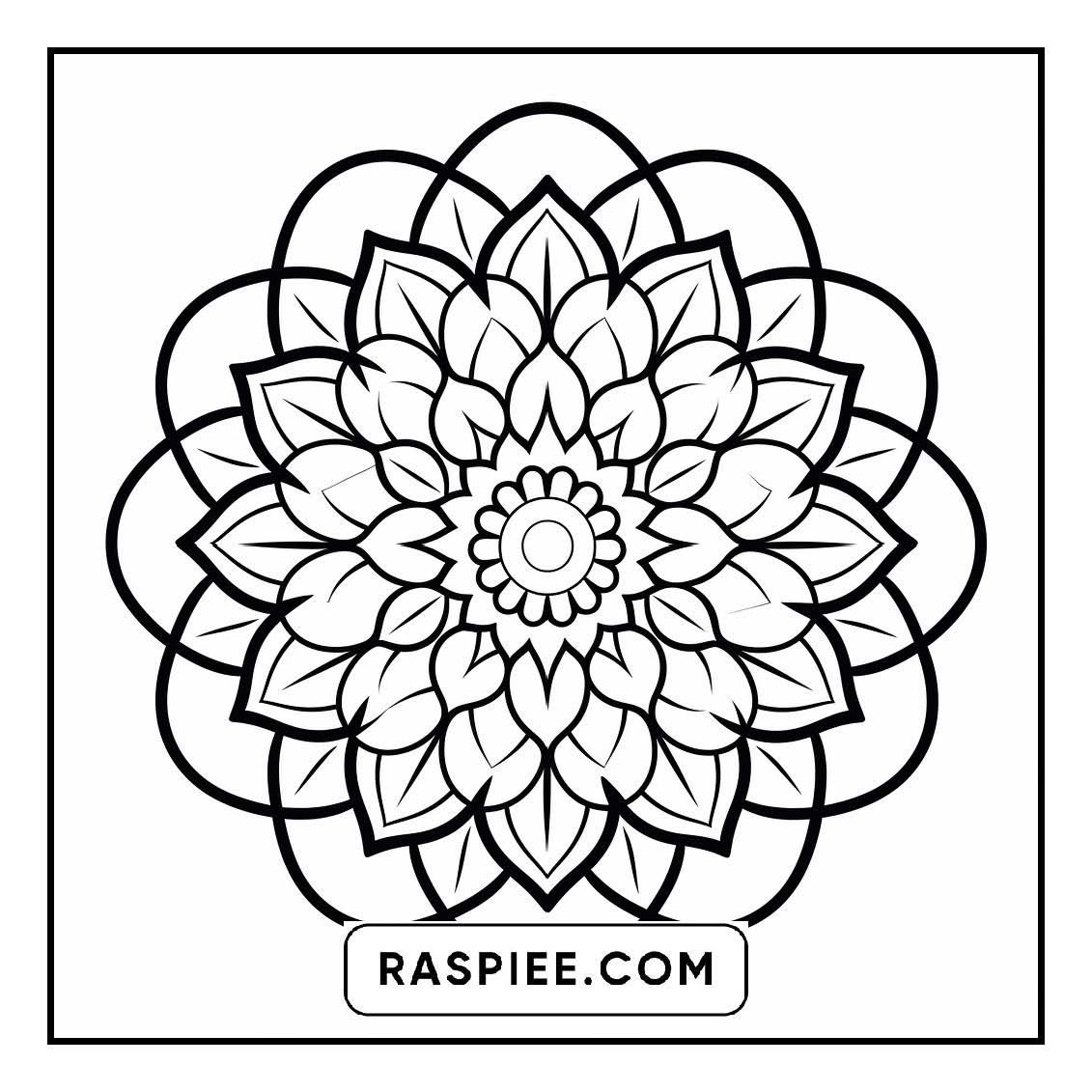 134 Bold and Easy Mandala Coloring Pages