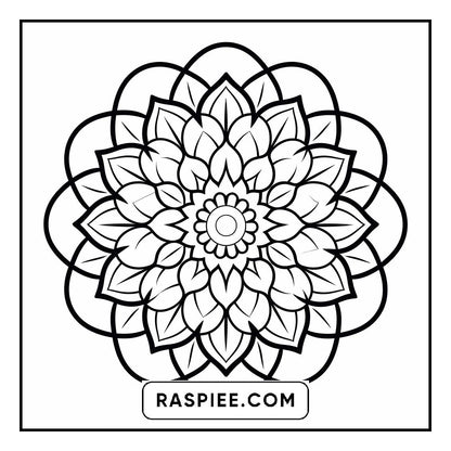 134 Bold and Easy Mandala Coloring Pages