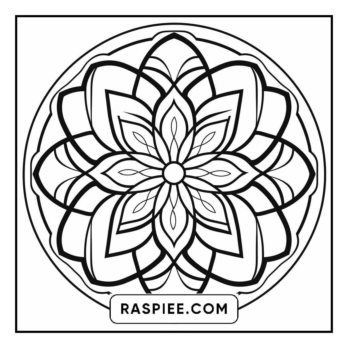 134 Bold and Easy Mandala Coloring Pages