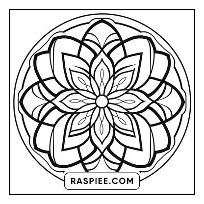134 Bold and Easy Mandala Coloring Pages