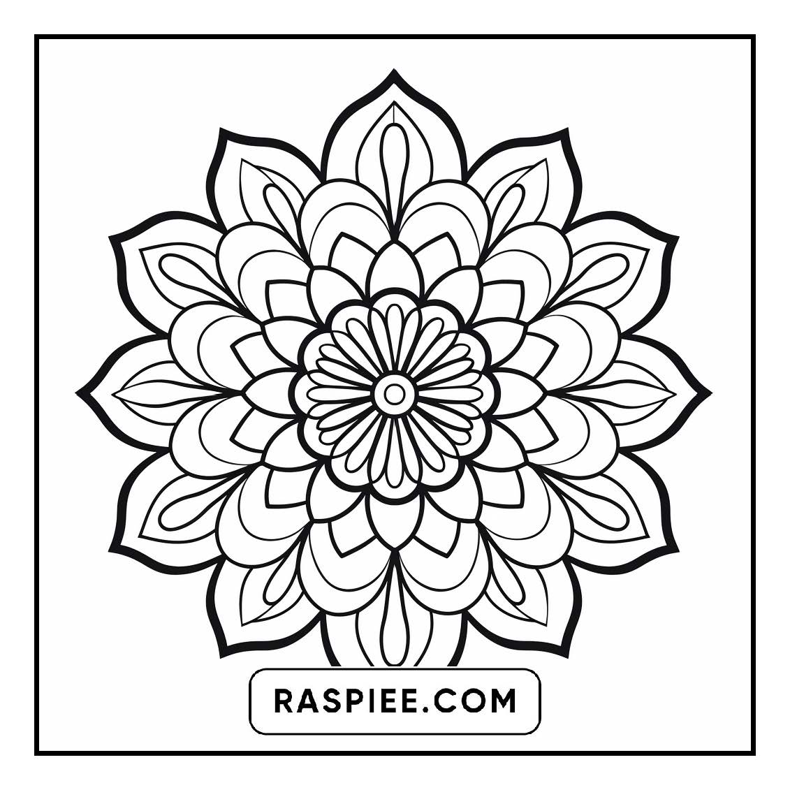 134 Bold and Easy Mandala Coloring Pages