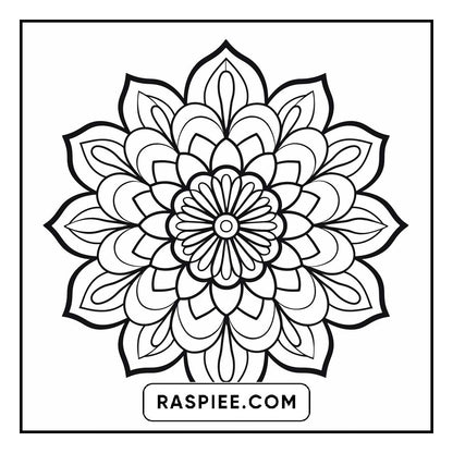 134 Bold and Easy Mandala Coloring Pages
