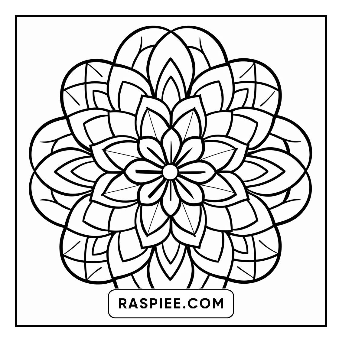 134 Bold and Easy Mandala Coloring Pages