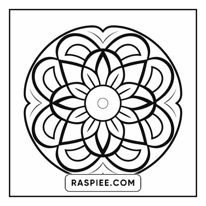 134 Bold and Easy Mandala Coloring Pages