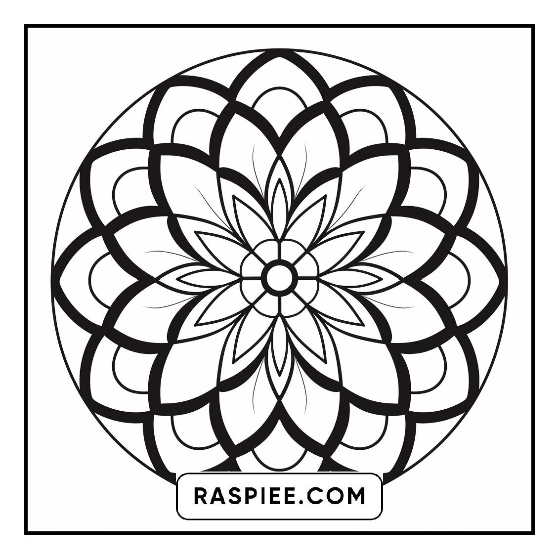 134 Bold and Easy Mandala Coloring Pages