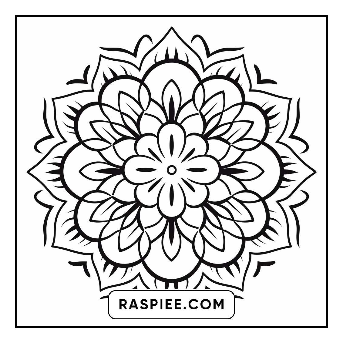 134 Bold and Easy Mandala Coloring Pages