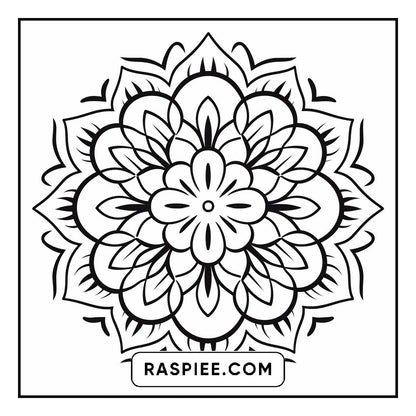 134 Bold and Easy Mandala Coloring Pages