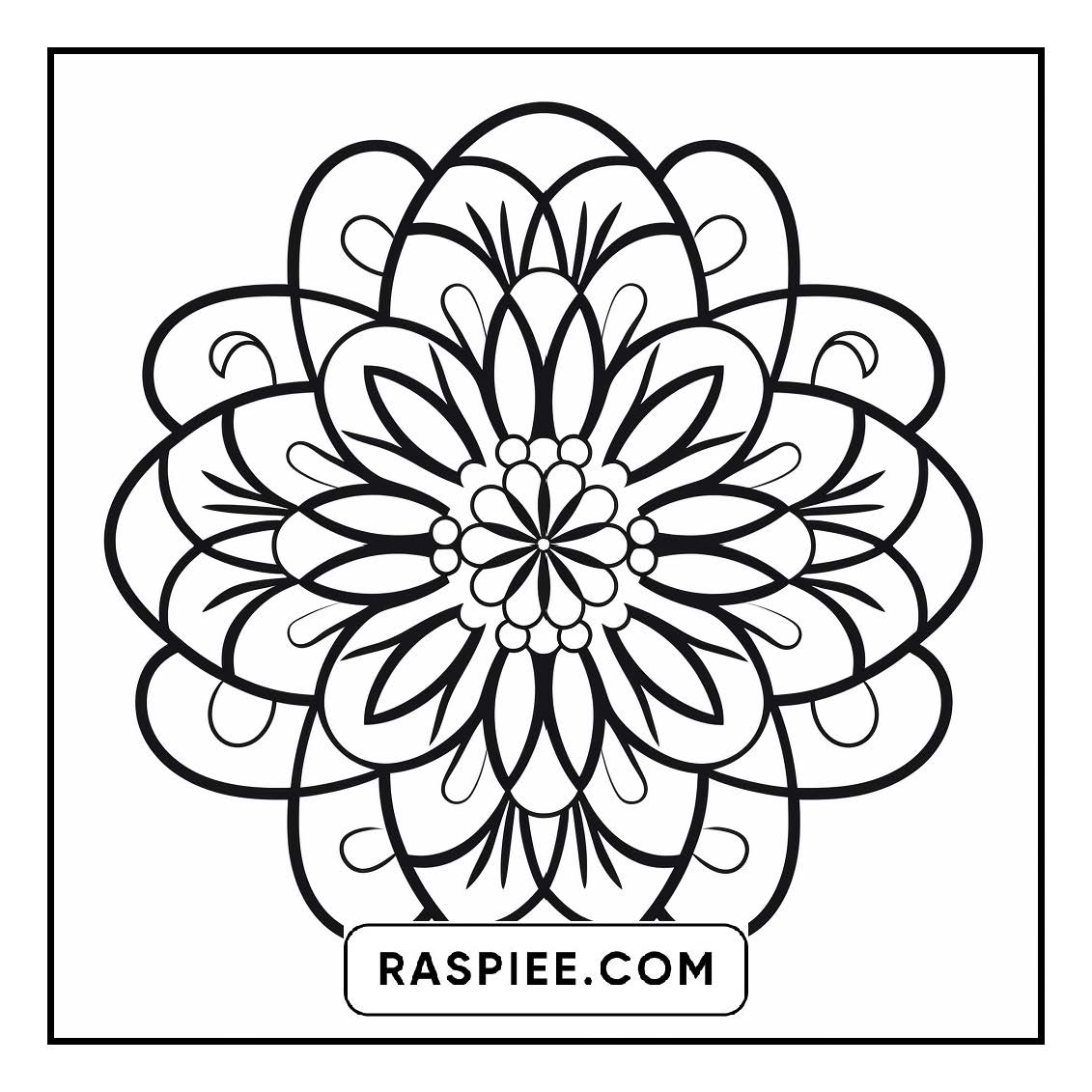 134 Bold and Easy Mandala Coloring Pages