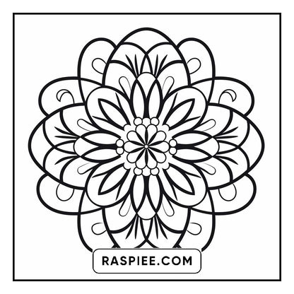 134 Bold and Easy Mandala Coloring Pages