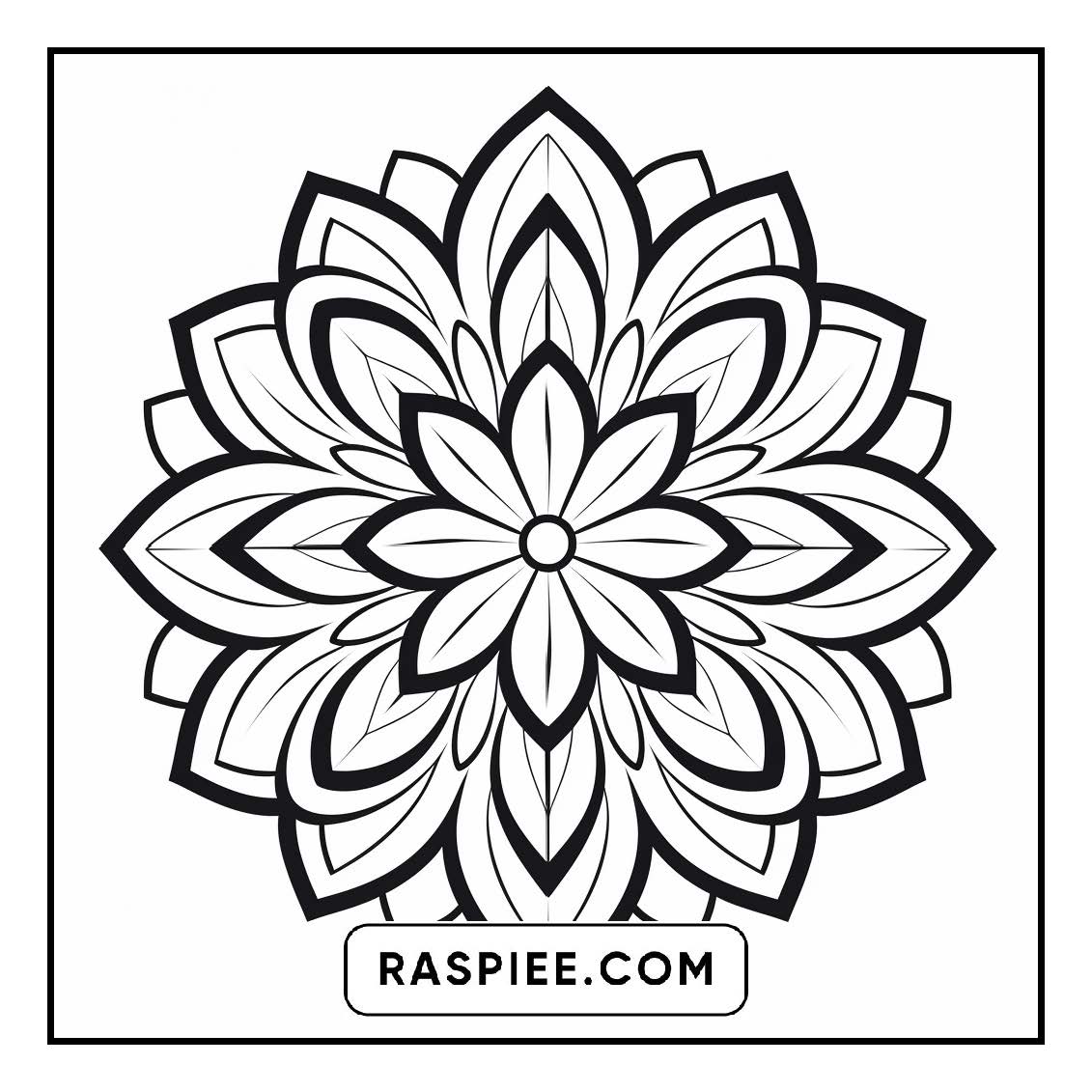 134 Bold and Easy Mandala Coloring Pages