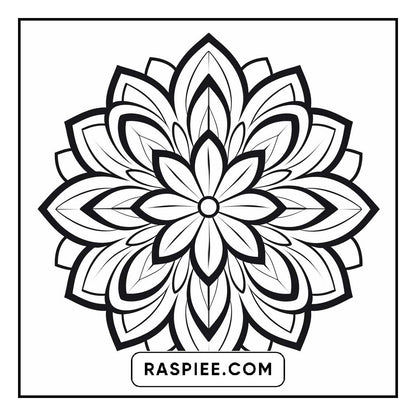 134 Bold and Easy Mandala Coloring Pages