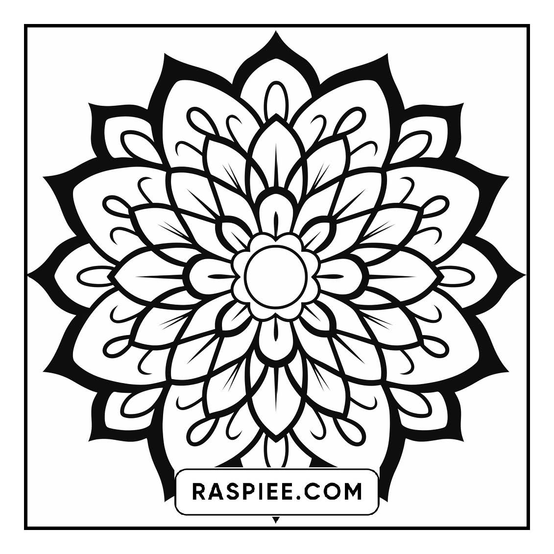 134 Bold and Easy Mandala Coloring Pages