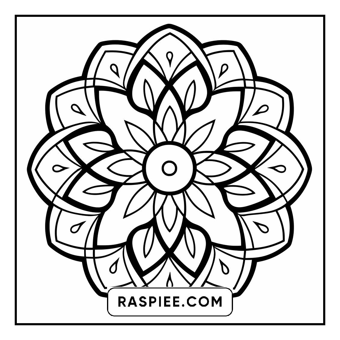 134 Bold and Easy Mandala Coloring Pages