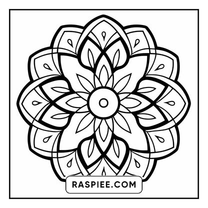 134 Bold and Easy Mandala Coloring Pages