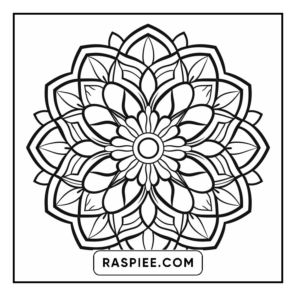134 Bold and Easy Mandala Coloring Pages
