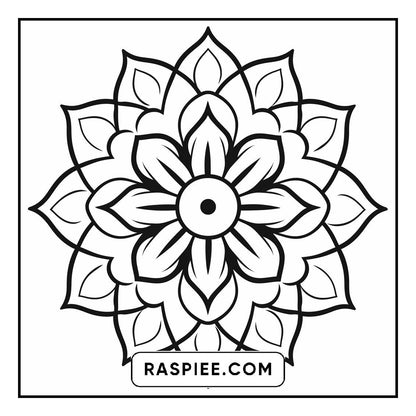 134 Bold and Easy Mandala Coloring Pages