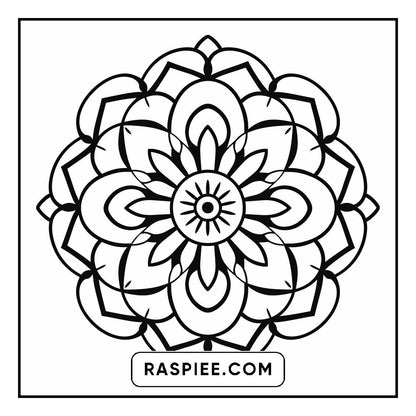 134 Bold and Easy Mandala Coloring Pages