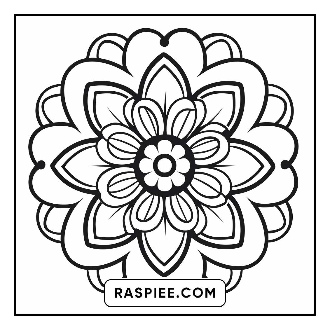 134 Bold and Easy Mandala Coloring Pages