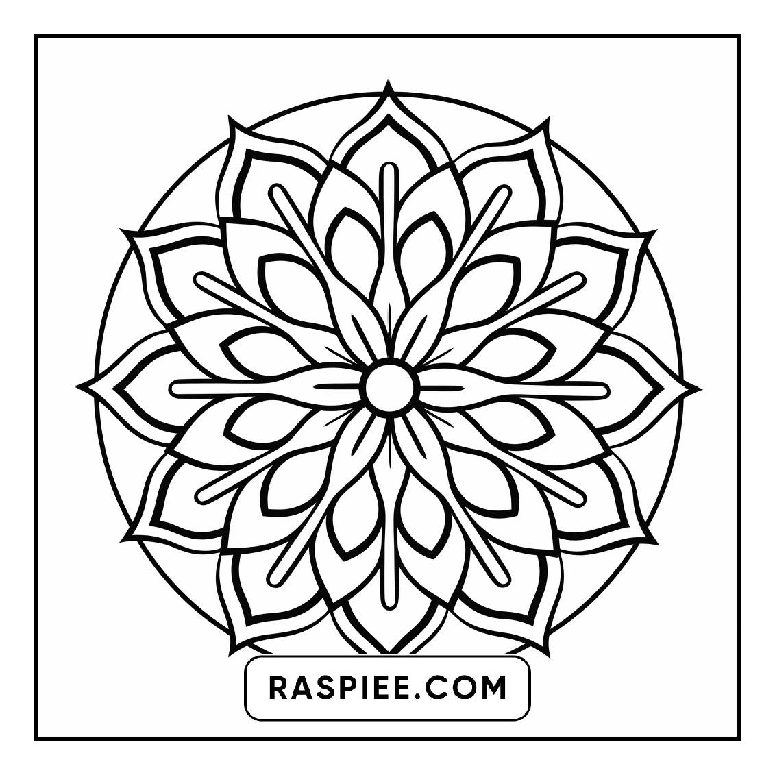 134 Bold and Easy Mandala Coloring Pages