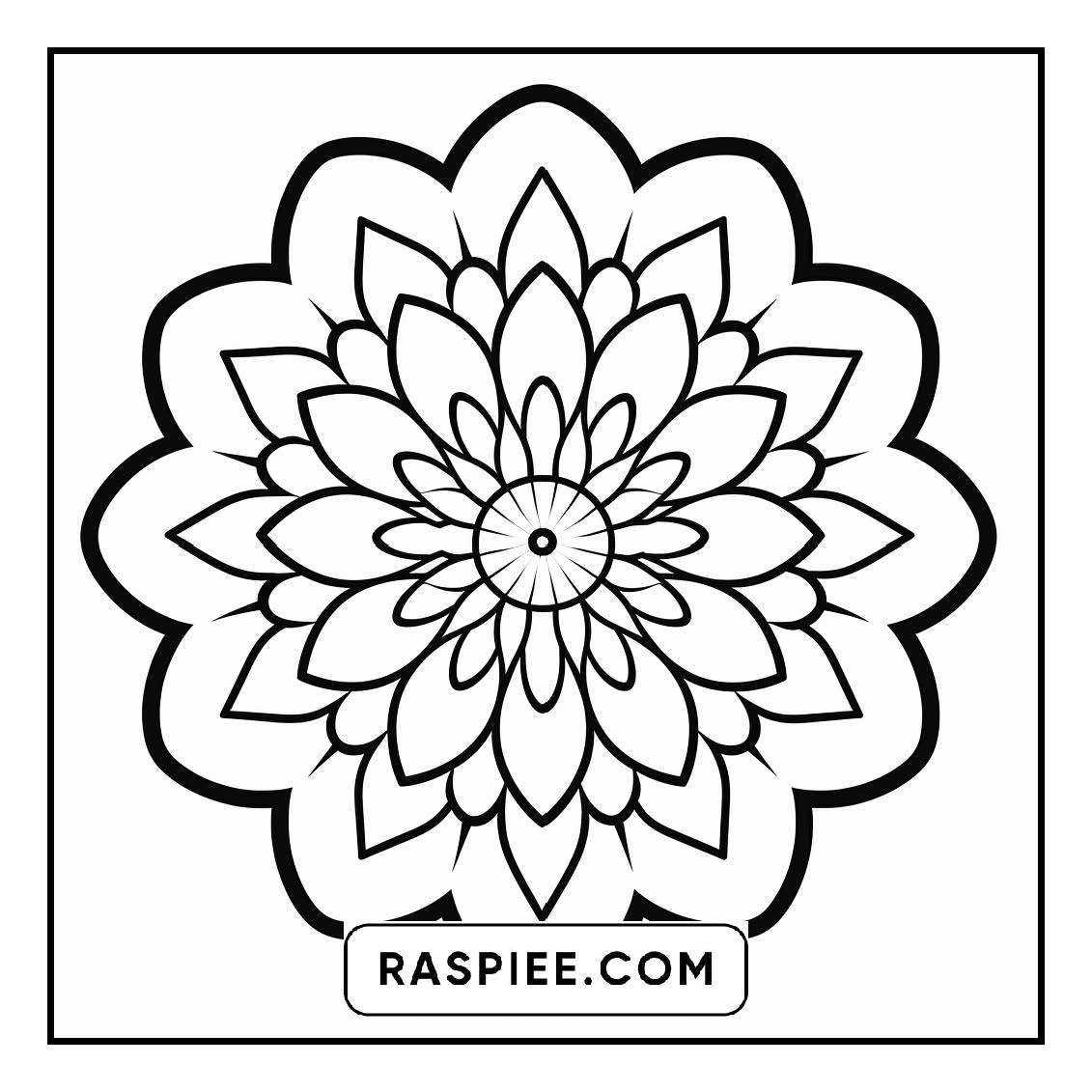 134 Bold and Easy Mandala Coloring Pages