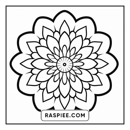 134 Bold and Easy Mandala Coloring Pages