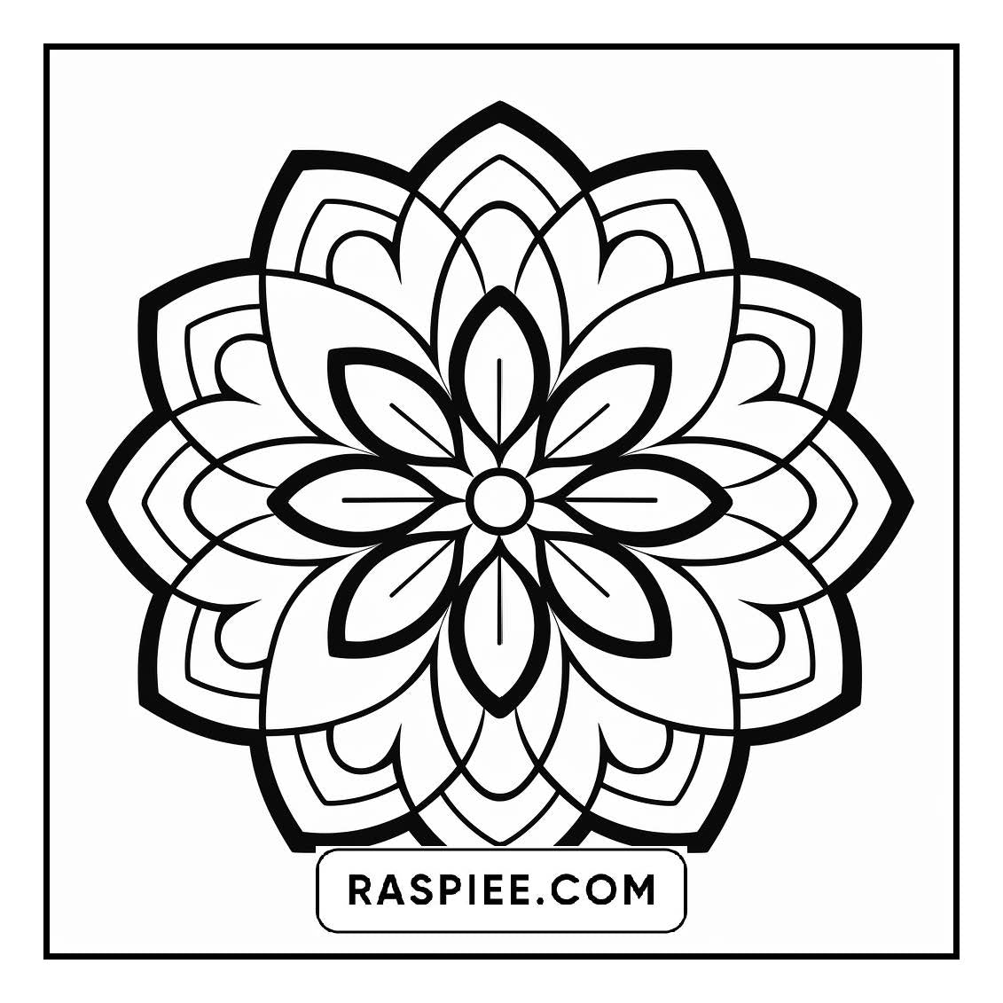 134 Bold and Easy Mandala Coloring Pages
