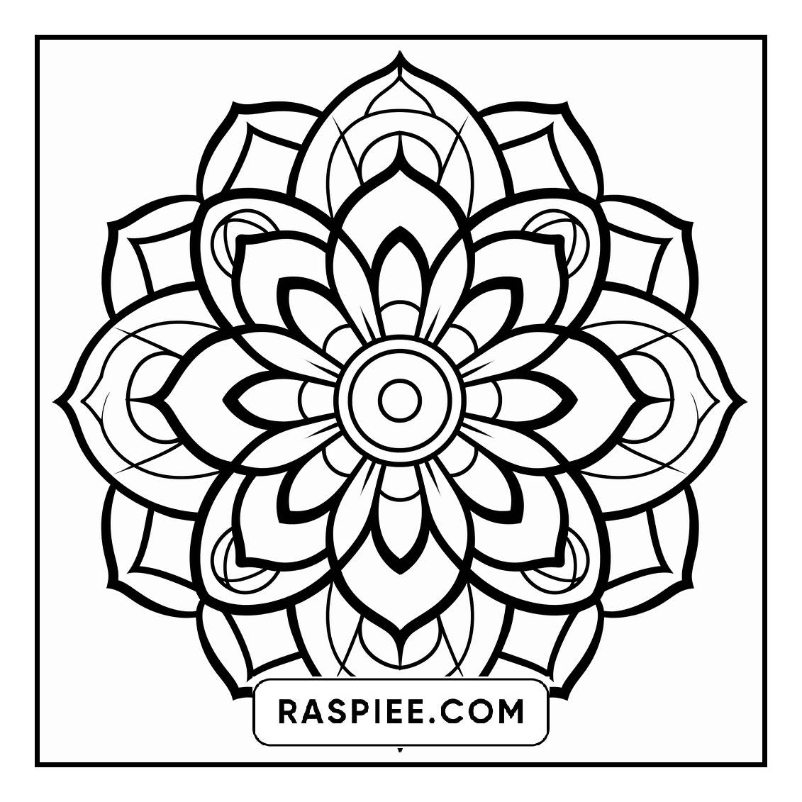134 Bold and Easy Mandala Coloring Pages