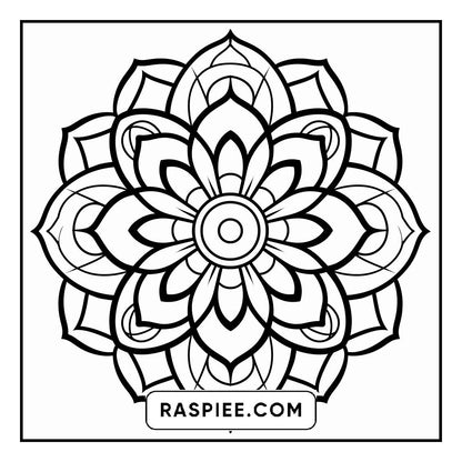 134 Bold and Easy Mandala Coloring Pages