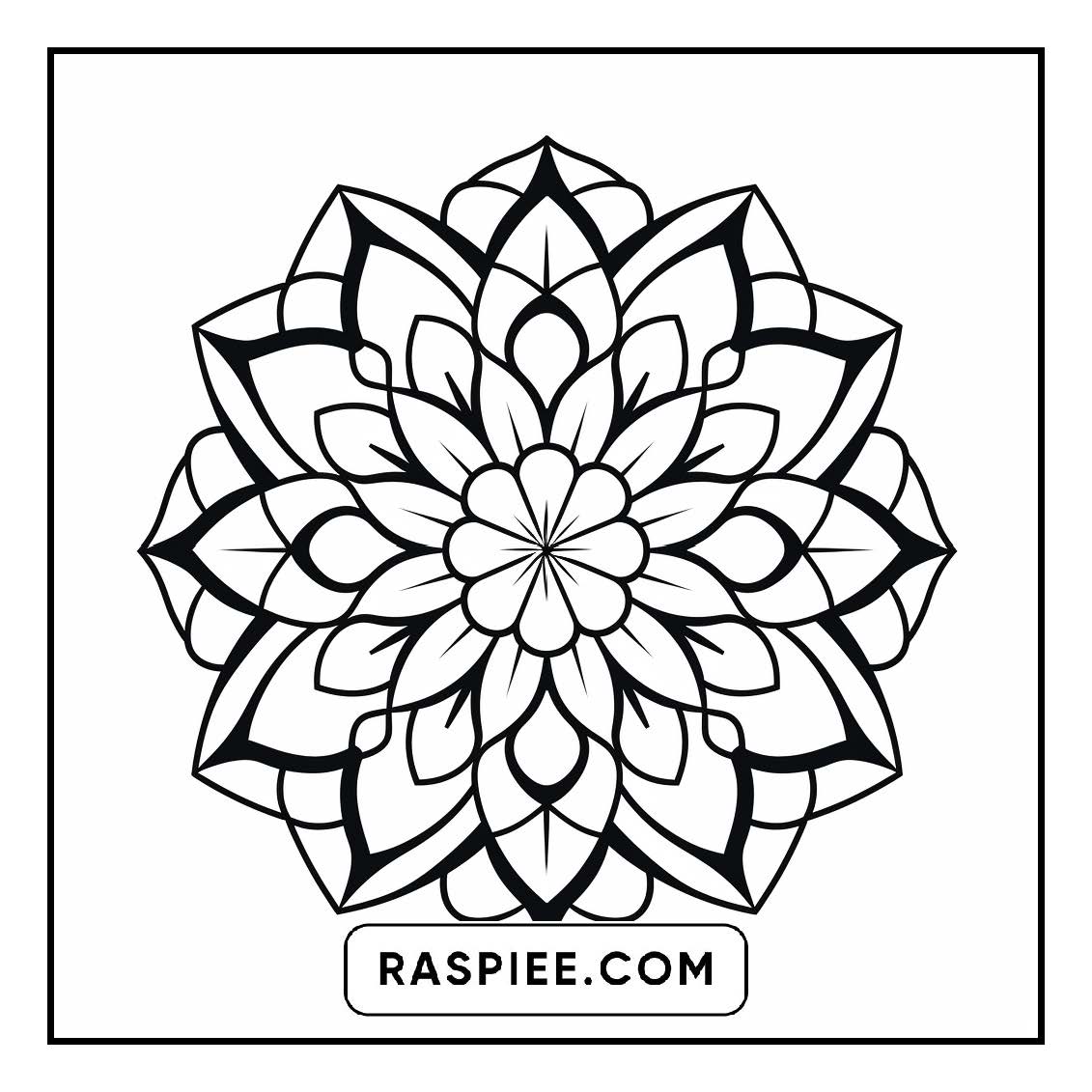 134 Bold and Easy Mandala Coloring Pages
