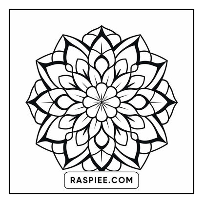 134 Bold and Easy Mandala Coloring Pages